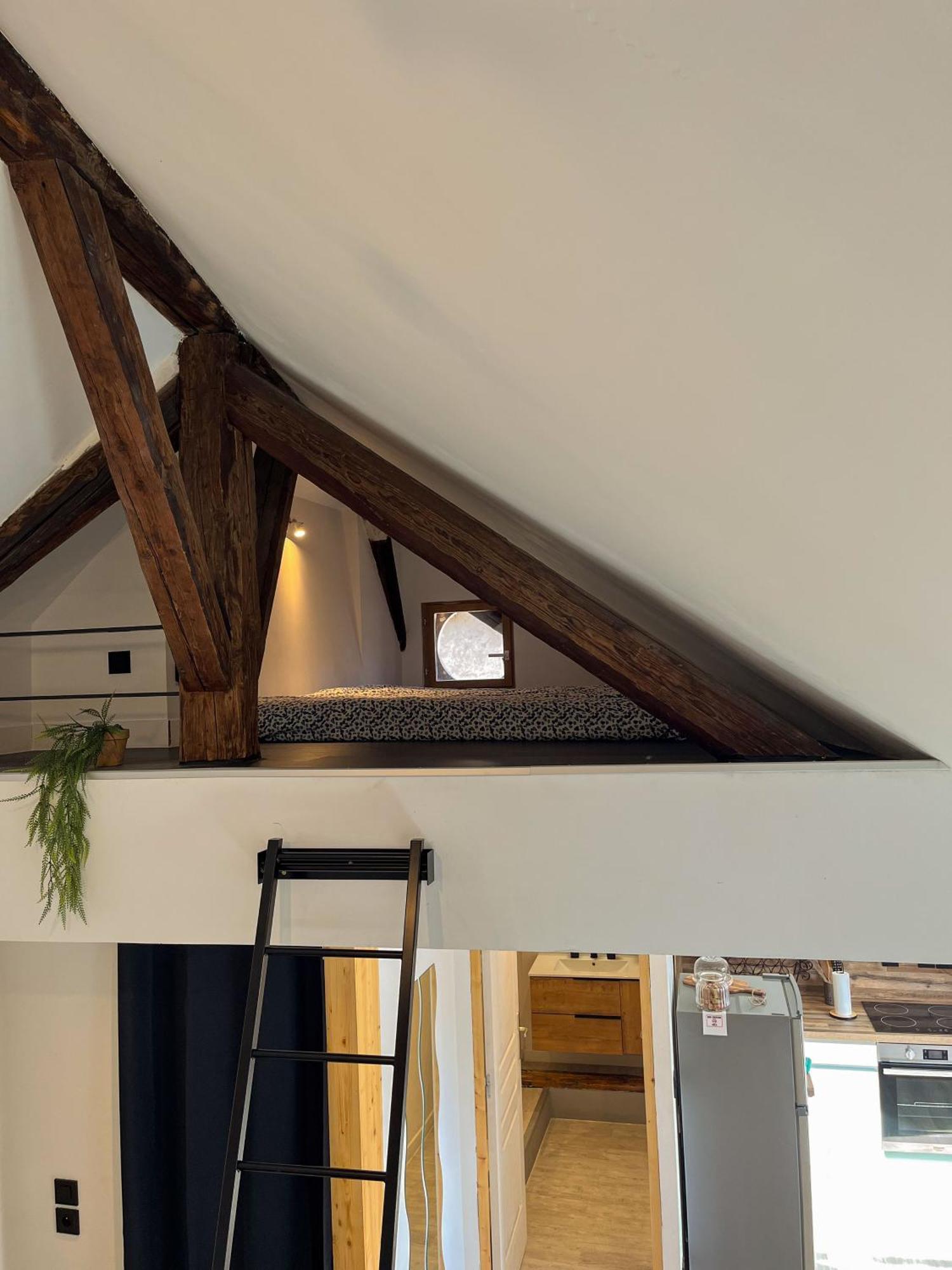 Cocon Sous Les Toits Apartment อัลแบร์วิลล์ ภายนอก รูปภาพ